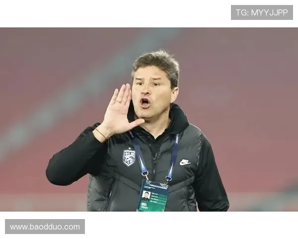 里卡多足球明星的传奇之路与辉煌成就探秘